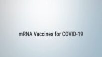 COVID-19 mRNA Vaccine Will It Change My DNA