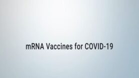 COVID-19 mRNA Vaccine Will It Change My DNA