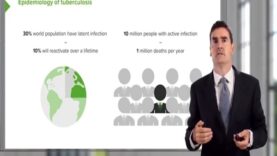 Tuberculosis Pathogenesis Diagnosis Treatment
