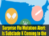 Surprise Flu Mutation Alert Is Subclade K Coming to the US
