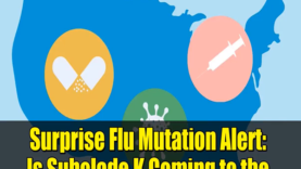 Surprise Flu Mutation Alert Is Subclade K Coming to the US