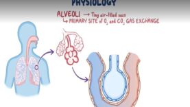 Influenza Clinical Nursing Care