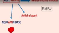 Oseltamivir – Mechanism, side effects, precautions uses