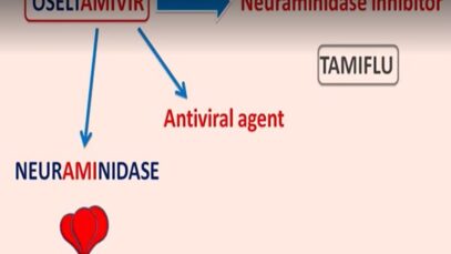 Oseltamivir – Mechanism, side effects, precautions uses