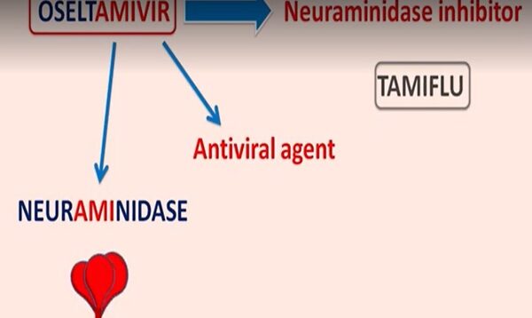 Oseltamivir – Mechanism, side effects, precautions uses